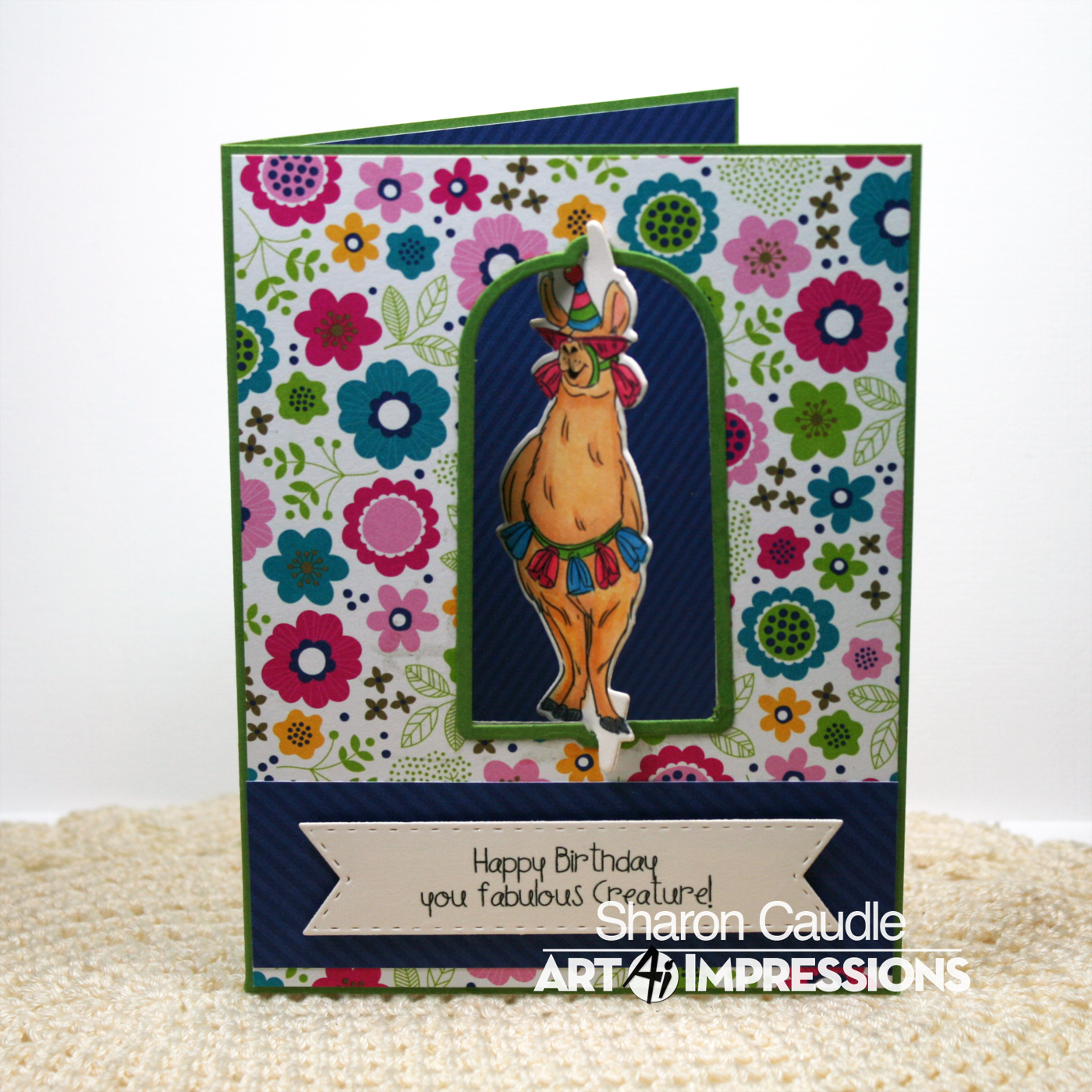 5215 - Llama Twist Set - Image 2